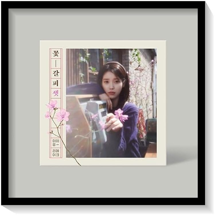 IU 花しおり　韓国盤　希少 Amazon.co.jp: 韓国 IU アイユ ジウン 花しおり LP 限定盤 未